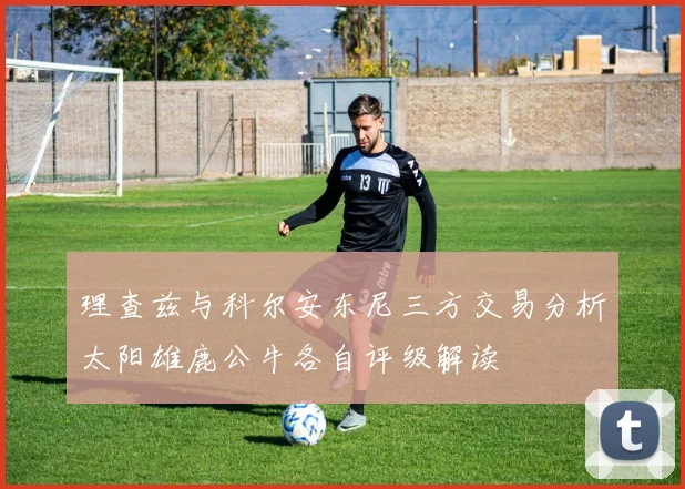 理查兹与科尔安东尼三方交易分析太阳雄鹿公牛各自评级解读