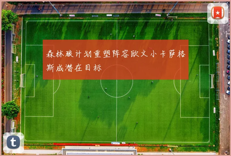 森林狼计划重塑阵容欧文小卡萨格斯成潜在目标